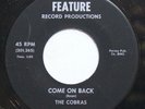 The Cobras Private Label Newton MA Garage 45rpm 1967
