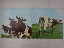 Pink Floyd Atom Heart Mother Odeon OP-80102 Japan RED WAX VINYL LP