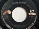 PALITO ORTEGA - Amanecere Sin Ti - KILLER PSYCH GARAGE EL SALVADOR PRESS 45