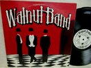 PROGRESSIVE WALNUT BAND GO NUTS 1976 BOSTON ORG APPALOOSA CSL-452 ALLMAN BROS M-