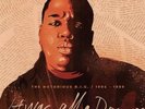 The Notorious Big: It Was All A Dream 9LP Box Set RSD 2020 Presale.