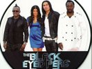 PICTURE DISC The Black Eyed Peas ?Meet Me Halfway PICTB2 FRANCE 2010