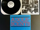 ADOLESCENTS Blue Album 1981 FIRST PRESSING VG++ w/INSERT Social Distortion Punk