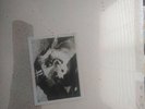 Fleetwood Mac 1979 Warner Bros Records Unopened Tusk Vinyl