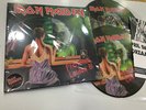 IRON MAIDEN 2 LP PROWLING LEIDEN 26/04/1981  DOUBLE PICTURE DISC VINYL + POSTER