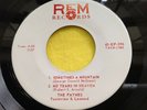 Rare Gospel Bluegrass EP 45 : The Paynes   Sometimes A Mountain   REM 396