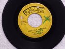 northern soul TOMMY NEAL Goin To a Happening / Tee Ta PAMELINE 100