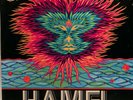 electronic/experi/ambiant PETER HAMEL 