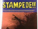 Jon and the Nightriders - Stampede   (LP, 1990, Norton) M-/VG+