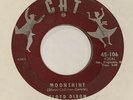 FLOYD DIXON Roll Baby Roll Moonshine on Cat R&B 45 VG nice
