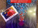 Bright Eyes -Down In The Weeds -Red/Orange Color 2LP Vinyl -Sealed- Signed Print