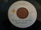 Ramblers, Please Bring Yourself Back Home, one sided test press, vg