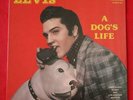 Elvis 