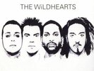 The Wildhearts 2 LP ST The Wildhearts - Ginger - NEW