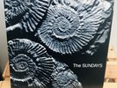 The Sundays - Reading, Writing & Arithmetic Indie Vinyl Ride Lush