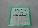 VOICES OF THE ANGELS-2 LP-CHARLES BUKOWSKI-DAVE ALVIN-KIM FOWLEY-SPOKEN WORD-NM