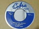 Magic Sam-Everything Gonna Be Alright b/w Look Watcha Done-Cobra#5021-Blues45rpm