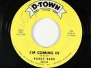 Northern Soul 45 - Romey Rand - I'm Coming In - D-Town - mp3
