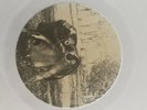 Tool Undertow Grey Promo Only Vinyl Record