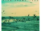 RYAN ADAMS - 1989 2 VINYL LP NEW