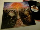 THE MOODY BLUES - IN SEARCH OF THE LOST CHORD - STAMPA APRIBILE USA - LP VINILE