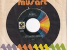 LOS CAMISAS NEGRAS fiebre (fever) POPCORN R&B ROCKER «listen THE TIGER