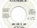 DEE DEE SHARP What Kind Of Lady on Gamble northern soul PROMO 45 HEAR