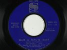 Northern Soul 45 - Diamond Joe - Wait A Minute Baby - Sansu - mp3