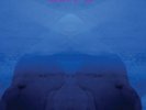 Guapo - Obscure Knowledge [Used Very Good Vinyl LP]