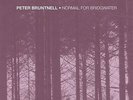 Peter Bruntnell - Normal For Bridgwater 12