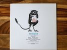 DJ Shadow ?– Rare 12