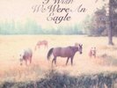 Bill Callahan - Sometimes I Wish We Were an Eagle