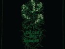 CULTES DES GHOULES-Henbane 2LP (2013, GREEN/GREY VINYL, MGLA, DRUDKH) TOP
