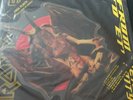Iron Maiden From Here To Eternity Pic Disc