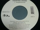 Counting crows Hanginaround / A long December 45rpm record 7