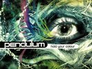 PENDULUM - Hold Your Colour - Vinyl (3xLP)