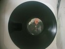 Buckethead KFC Skinpiles LP 2001 OOP signed crease down middle