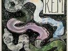 ORIGINAL Vtg 1984 R.E.M. Album RECKONING Vinyl RECORD Lp REM SP 70044 NEAR MINT