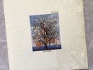 TALK TALK - Spirit Of Eden Original UK 1st Pressing Vinyl LP (1988) PCSD 105