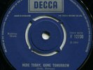 THE PLAGUE*HERE TODAY, GONE TOMORROW*LOOKING FOR THE SUN*DECCA*EX-