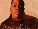 RSD 2020 - NOTORIOUS BIG - IT WAS ALL A DREAM 9xLP BOX SET #2000 MADE PRESALE