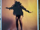 The Last Shadow Puppets - Everything You've Come To... Vinyl LP Arctic Monkeys