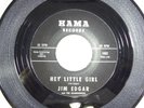 JIM EDGAR AND THE ROADRUNNERS Hey Little Girl / Apartment #9 45 Record Rock