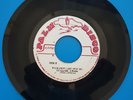 African Star - They Just Can't Stop Us / Whip Lash. Roots Reggae 45 PALM DISCO.