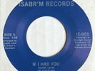 boogie funk soul 45 ISABR'M If I Had You  RARE listen