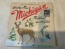 Sufjan Stevens Michigan