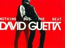 David Guetta ?– 2 LP Nothing But The Beat NM NEAR MINT
