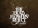 MANSUN THE DEAD FLOWERS REJECT RSD 2020 LIMITED WHITE LP ALBUM VINYL RECORD NEW