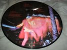 BLACK SABBATH -PARANOID- AWESOME  PICTURE DISC VINYL LP 1996 EARMARK NM