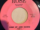 Unknown Soul R+B 45 MARK IV WILSON jump up and down ROSE hear